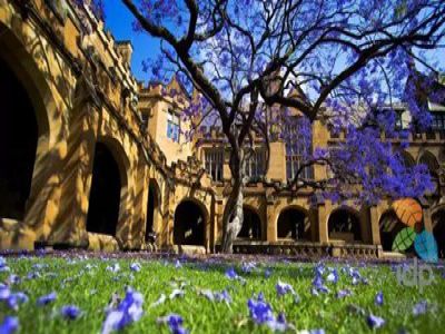 美好學(xué)校|走進(jìn)遠(yuǎn)恒佳，世界名校與您有約