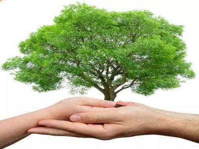 家?；觸朱永新：家庭教育關(guān)鍵十點