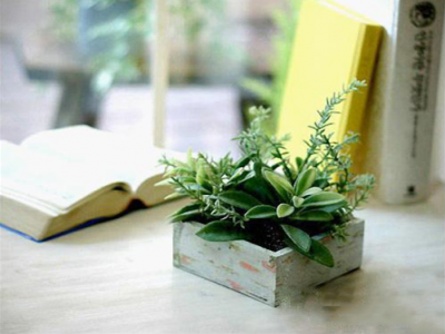 【好文轉(zhuǎn)載】小學(xué)的重點(diǎn)在于閱讀?。◤?qiáng)烈建議老師轉(zhuǎn)給家長）