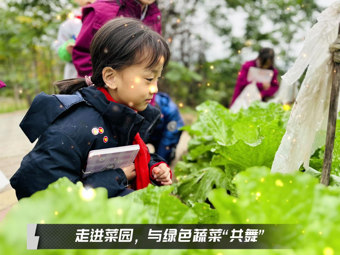 #美好學(xué)校|留校時(shí)光，走出教室，與綠色蔬菜共舞