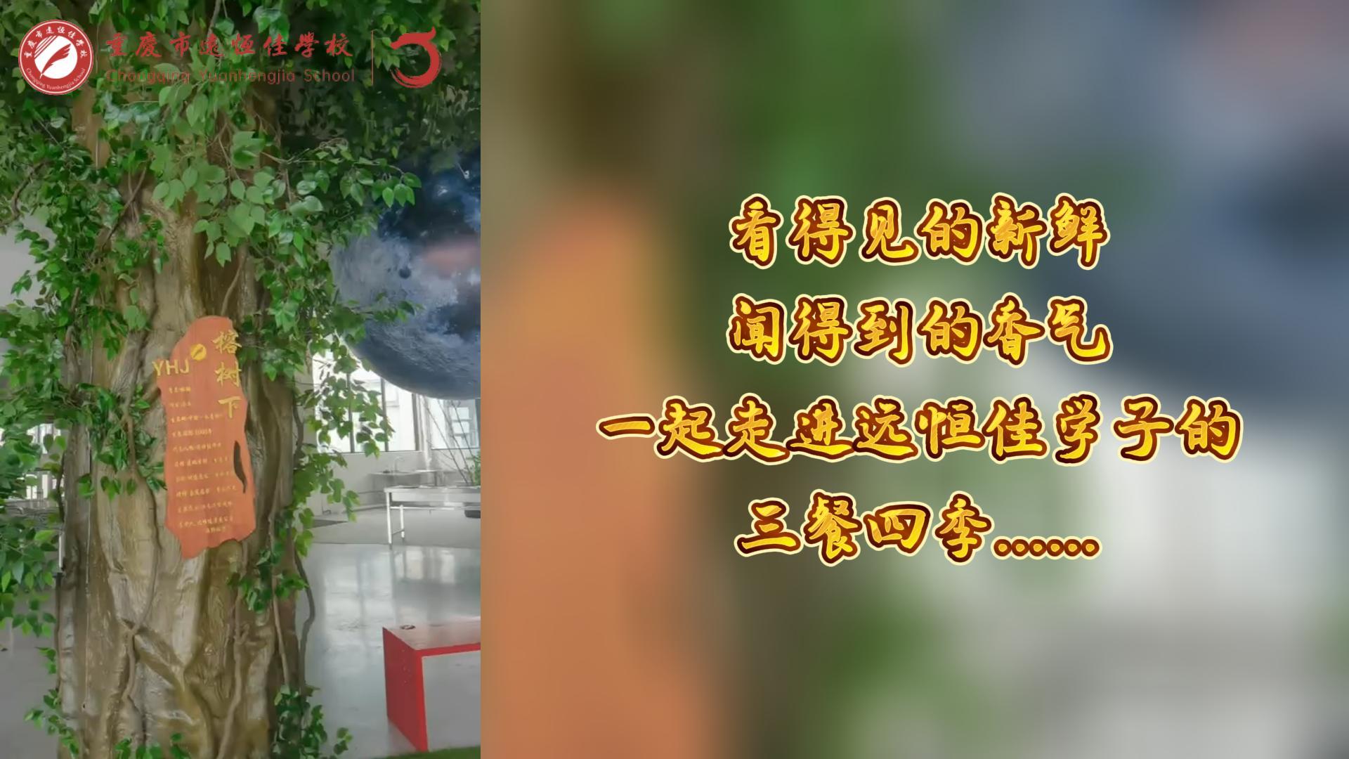 #美好學(xué)校|看得見的新鮮，聞得到的香味，一起走進(jìn)遠(yuǎn)恒佳學(xué)子的三餐四季!