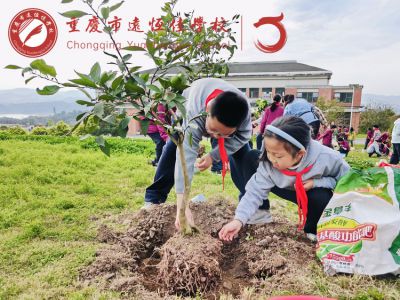 多彩遠恒佳|植綠啟新，共育美好——重慶市遠恒佳學校義教部開展“我與小樹共成長”主題植樹活動